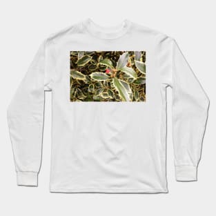 Variegated Holly Bush Long Sleeve T-Shirt